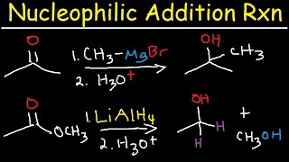 Nucleophilic Addition Reaction Mechanism Grignard Reagent NaBH4 LiAlH4 Imine Enamine Reduction [upl. by Letnuahc]