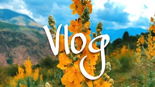 Ncs no copyright travelling music Vlog music Memories Travelling Vlog music no copyright music [upl. by Oicelem507]