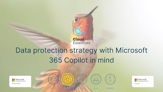 Data protection strategy with Microsoft 365 Copilot in mind [upl. by Newbold]