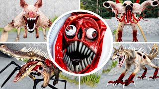 Zoochosis Morphs😱😱ALL Jumpscares [upl. by Ennairek]