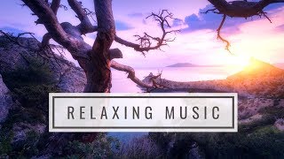 Relaxing Music Manifesting Happiness Harmony amp Inner Peace  Dissolve Negative Thoughts amp Emotions [upl. by Poucher]