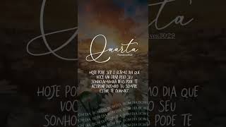 bomdia gratificante music frases mensagem grata gratidao [upl. by Yemar]