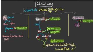 Antimalarial drugs [upl. by Angelis90]