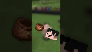 Novas BOLSAS do MINECRAFT 122 [upl. by Aiciles]