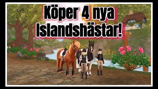 Onsdagsuppdatering  Köper 4 nya Islandshästar [upl. by Eneluqcaj]