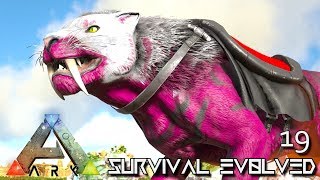 ARK SURVIVAL EVOLVED ALPHA SABERTOOTH TAMING E19   ARK EXTINCTION CORE MODDED [upl. by Olram]