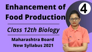 Enhancement of Food Production Class 12th Biology Part 4 [upl. by Annaig999]