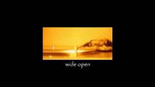 The Crystal Method  Wide Open [upl. by Atnuahsal]