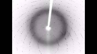 Lysozyme Diffraction [upl. by Leavelle485]