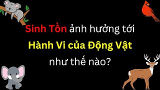 Hành vi của động vật  Sinh học  tập 25  Tri thức nhân loại [upl. by Lynne]