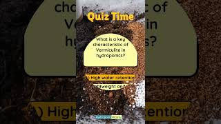 Characteristics of hydroponic vermiculite  Hydroponic Way shorts quiz quiztime hydroponics [upl. by Hpesojnhoj]