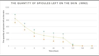 Where sponge spicules go after entering into skin [upl. by Wichman]