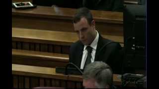 Oscar Pistorius Trial Tuesday 1 July 2014 Session 3 [upl. by Ame]