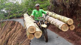 Extreme OffRoad Bikes Moving Tons of Logs in Mountain [upl. by Wesle514]