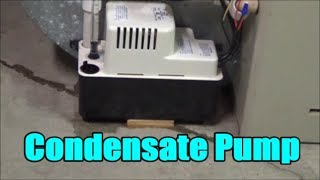 How to Install  Replace a Condensate Pump  Little Giant [upl. by Dwyer]