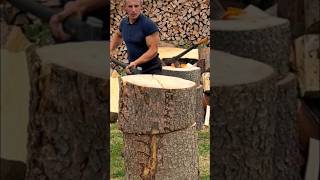 Strong hornbeam tree woodworking firewood [upl. by Nauqed392]