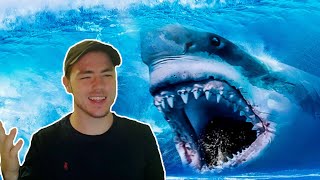 Fish Biologist reacts to quotMegalodon Existence Provedquot [upl. by Riamo400]