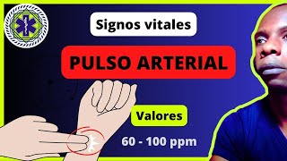 ✔ Signos vitales Pulso Arterial Frecuencia y valores normales alteraciones [upl. by Gratiana]