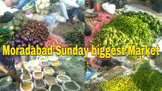 Moradabad Sunday biggest market  Moradabad Ki Sabse Badi Sabji Market [upl. by Tepper]