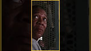 Shawshank Redemption  BEST SCENE whatsappstatus movie movieclips [upl. by Gelya686]