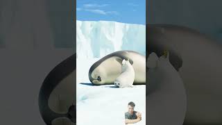 Baby Seal’s Mealtime That Will Brighten Your Day sealook shorts viralshorts [upl. by Engelhart]