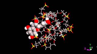 Allatom molecular dynamics simulation of cyclodextrindelphinidin complex [upl. by Erreipnaej488]