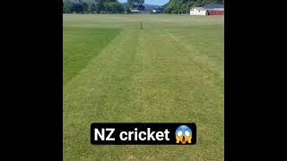 Greenest Cricket Pitch Ever cricket india nz icc viral trending shorts viratkohli pcb fyp [upl. by Ardith]