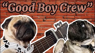 The Good Dog Song A Music Video Celebrating Great Dogs [upl. by Esinned]