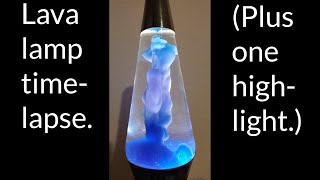 Lava Lamp Startup TimeLapse [upl. by Enyale]