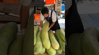 The Longest Fruit in The World  Winter Melon Cutting Skills in Taiwan [upl. by Haeel]