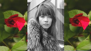 Françoise Hardy The Rose with lyrics [upl. by Yevreh]