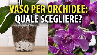 Vasi per Orchidee Quale Scegliere [upl. by Rocco]