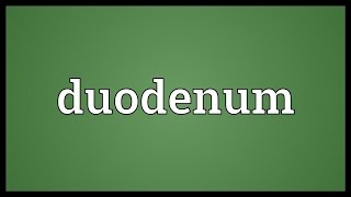 Duodenum Meaning [upl. by Nnyled]