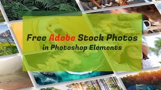 Free Adobe Stock photos in Adobe Photoshop Elements [upl. by Meriel292]