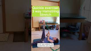 Quickie exercise 3 way Hamstring Stretch [upl. by Arnold]