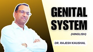 Histology of quotGenital Systemquot Explained in Hinglish by Dr Rajesh Kaushal  213 [upl. by Anawait69]