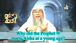 Why did Prophet salla Allahu alaihi wa sallam marry Ayesha at such a young age  Assim al hakeem [upl. by Ennaeiluj]