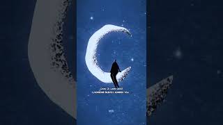 You exist therefore you influence animation motiongraphics nature moon cat [upl. by Goldenberg]