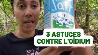 DE LOIDIUM   Voici 3 astuces à connaitre [upl. by Varhol432]