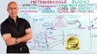 Metronidazole  Flagyl  Antibiotic  Mechanism of Action💊 [upl. by Enileda]