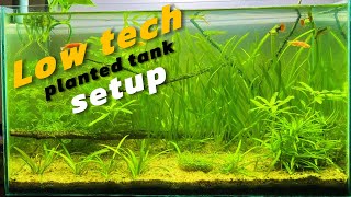 How to setup Low Tech Planted tank  For Beginners [upl. by Sundin797]