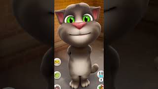 Mann Ki Baat Kare Tere Yaar Ne😄😛⚡️bridcat cat kitten comedyvideos funny yt [upl. by Eceinhoj]