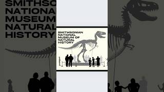 Smithsonian National Museum of Natural History FREE DCkids [upl. by Suollecram]