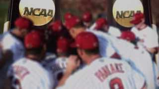 2014 South Carolina Baseball Intro [upl. by Ingra319]