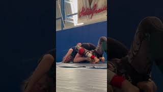 Ezekiel Choke nogi bjj [upl. by Wildon60]