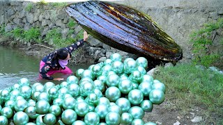 😱The girl pried open the giant clam which contained countless highquality pearls that were coveted [upl. by Omolhs]