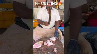 KASIMEDU 🔥 MINNAL RAJA LETHER JACKET FISH CUTTING VIDEO kasimeduraja fishcutting youtubeshorts [upl. by Siver]