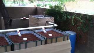 Aquaponics in Arizona [upl. by Alithia506]