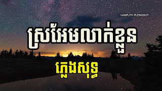 ស្រអែមលាក់ខ្លួន ភ្លេងសុទ្ធ sro em leak kloun Plengsot  Karaoke  VAN PUTH PLENGSOT [upl. by Lorsung]