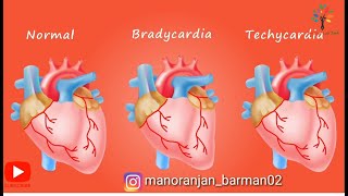 Animation on normal sinus rhythms Bradycardia and techycardia ll pathogenesis [upl. by Dinny]